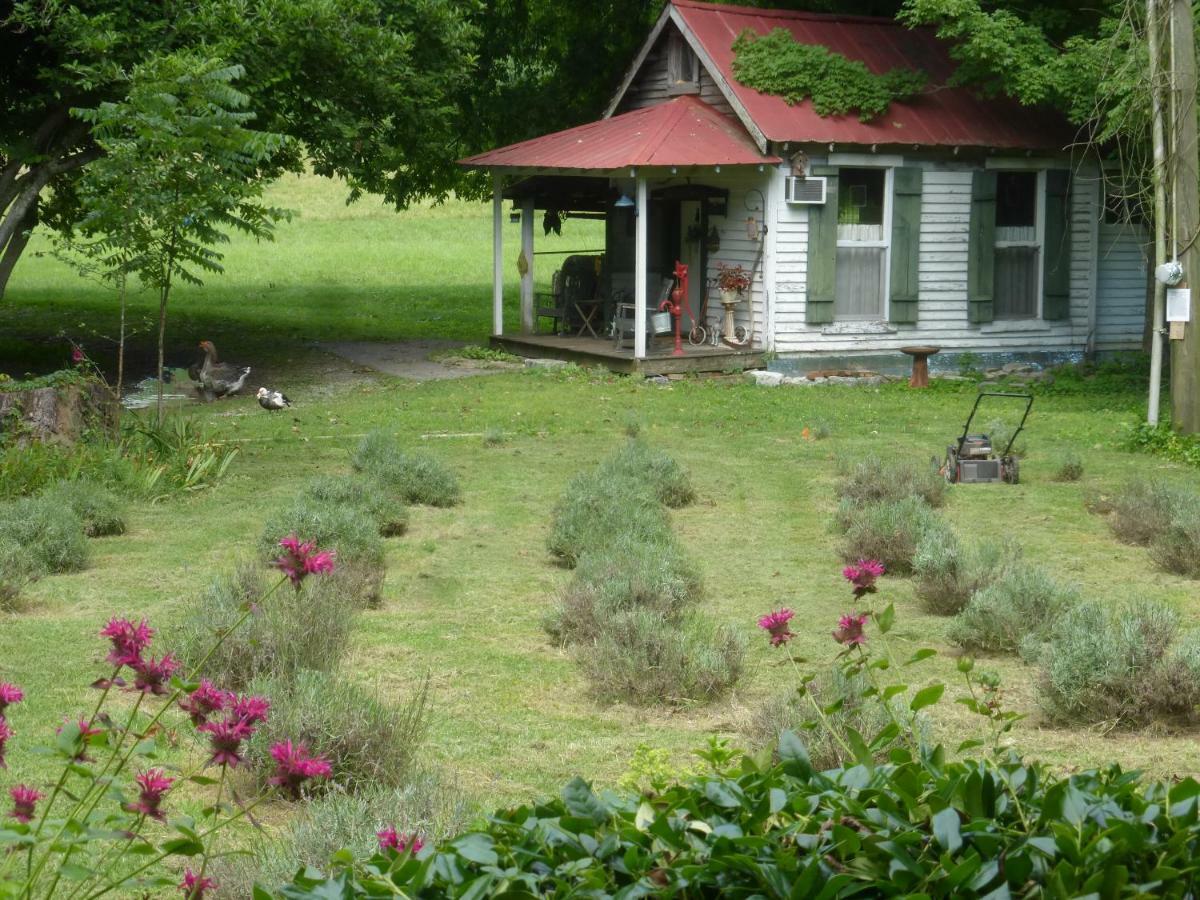 Mulberry Lavender Farm And B&B Exteriér fotografie